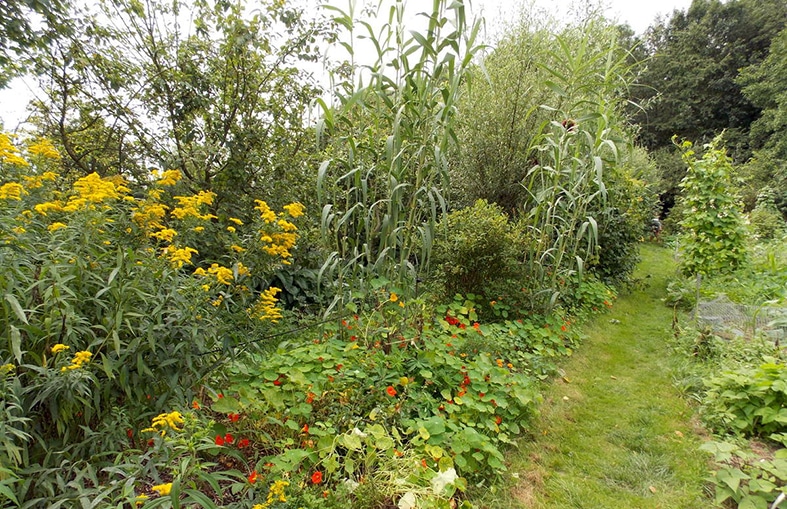 forêt-jardin