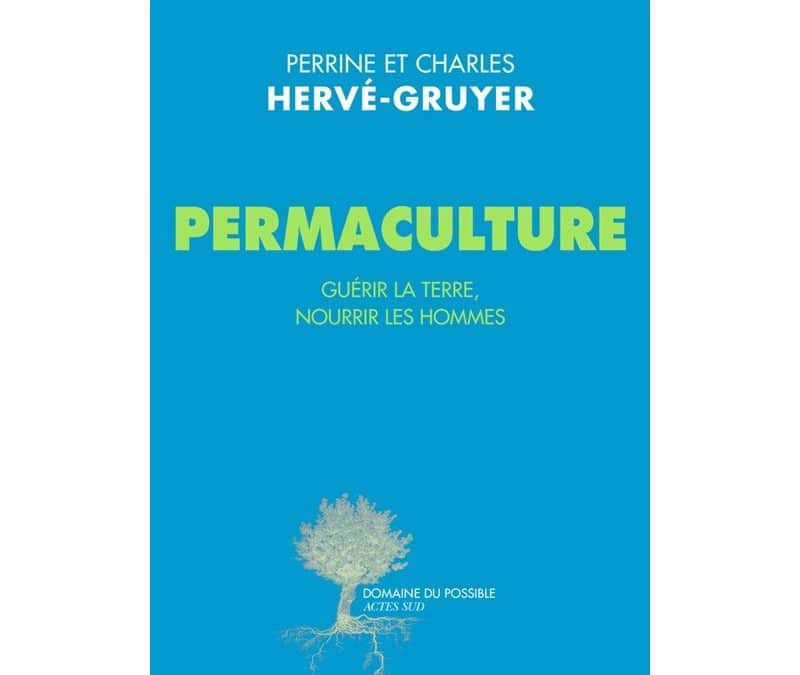 Interview dépaysante et rafraichissante : Charles Hervé-Gruyer
